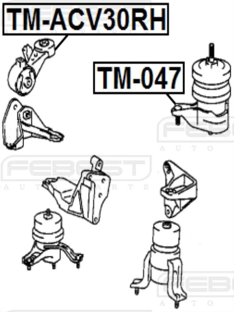 Poduszka silnika prawa - LEXUS TOYOTA [TM-ACV30RH] 12363-20120 ,1236320120 